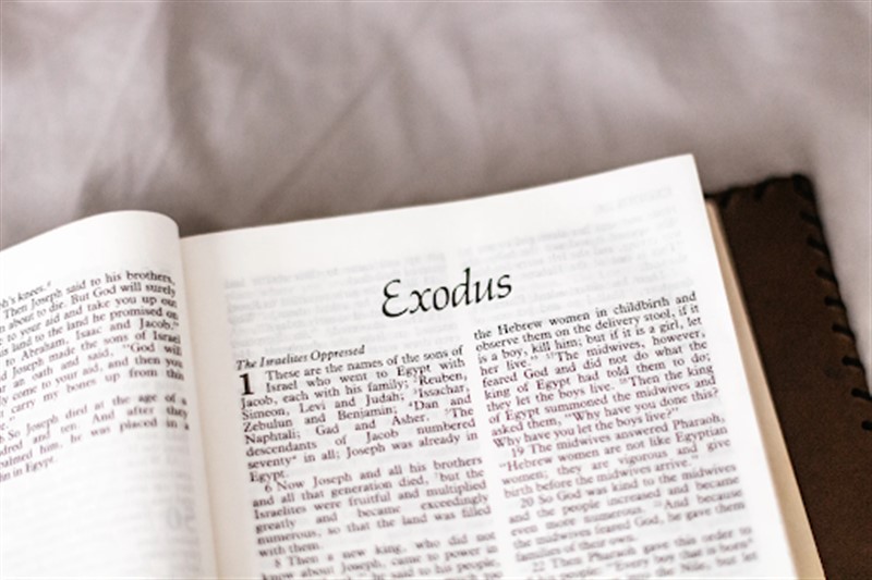 exodus - Translation from English into French | PONS