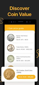 How to Identify, Price, and Value Old Coins