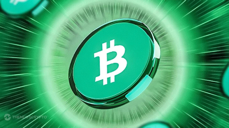 Bitcoin Cash - Peer-to-Peer Electronic Cash