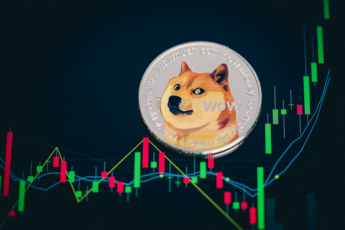 $ DogeCoin Gift Card | Doge Vouchers | Binance Gift Cards