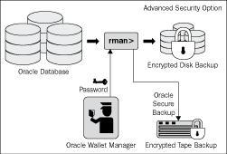 how to recover the wallet password if we forget in ODI12c ODI ? – ODI