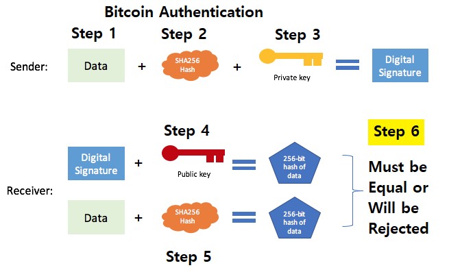 What is Crypto Validator, and Is It Still Profitable? - Pintu Academy