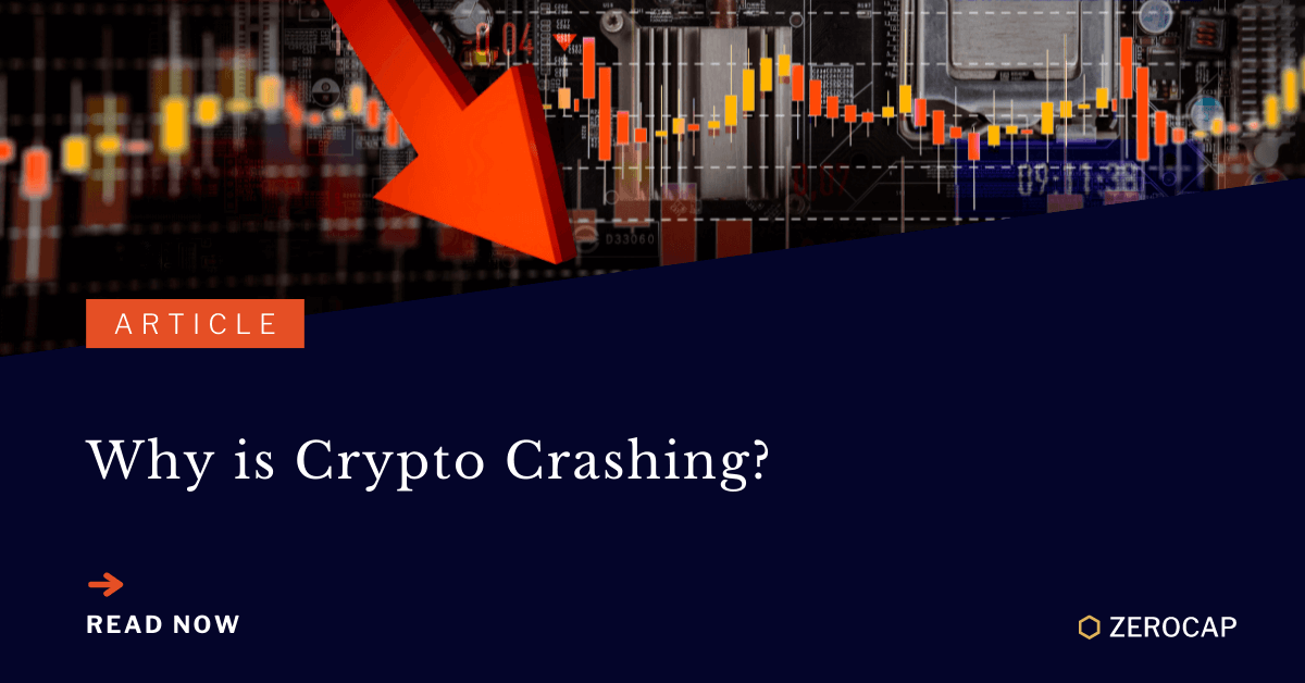 Crypto Crash: What Investors Need to Know