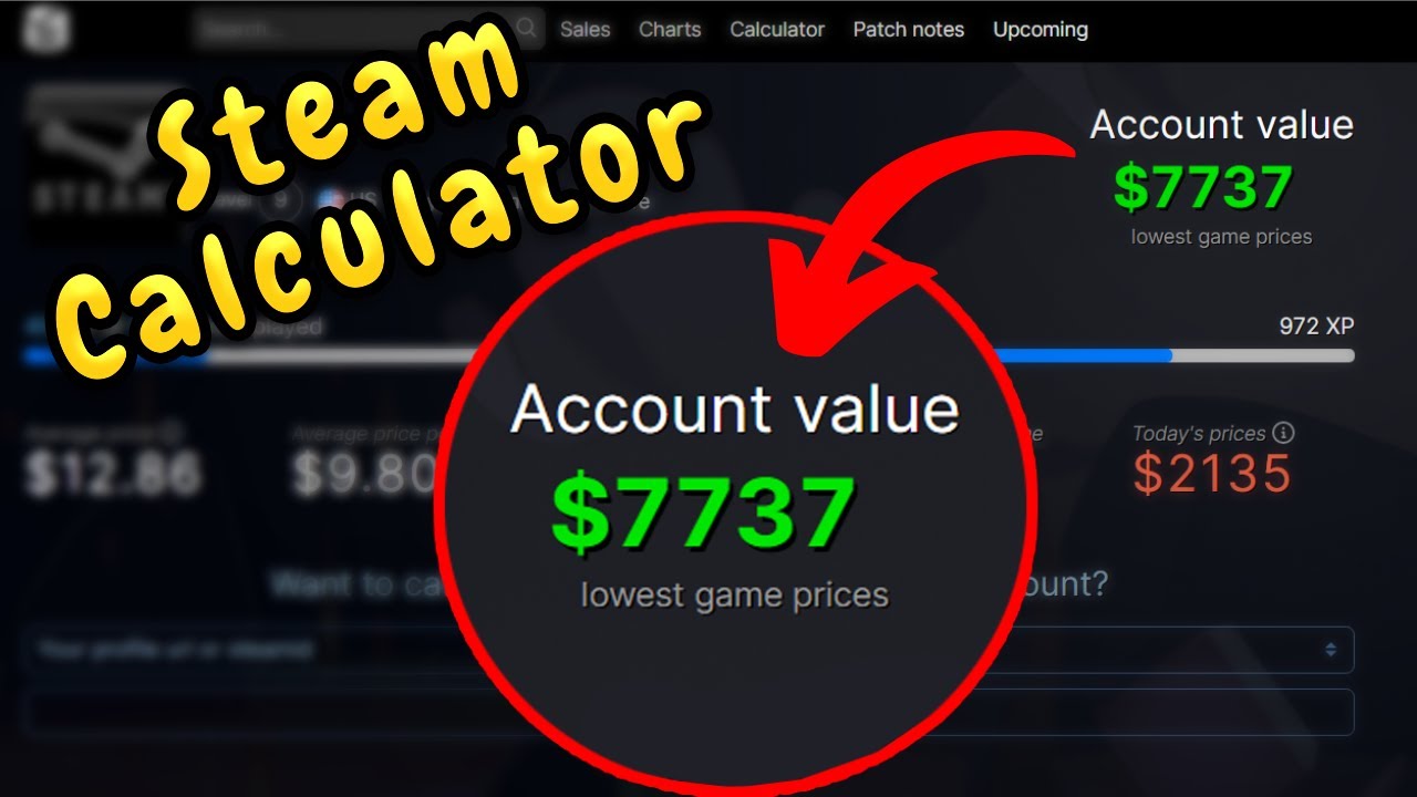 Steam Supply – Steam Level Calculator.