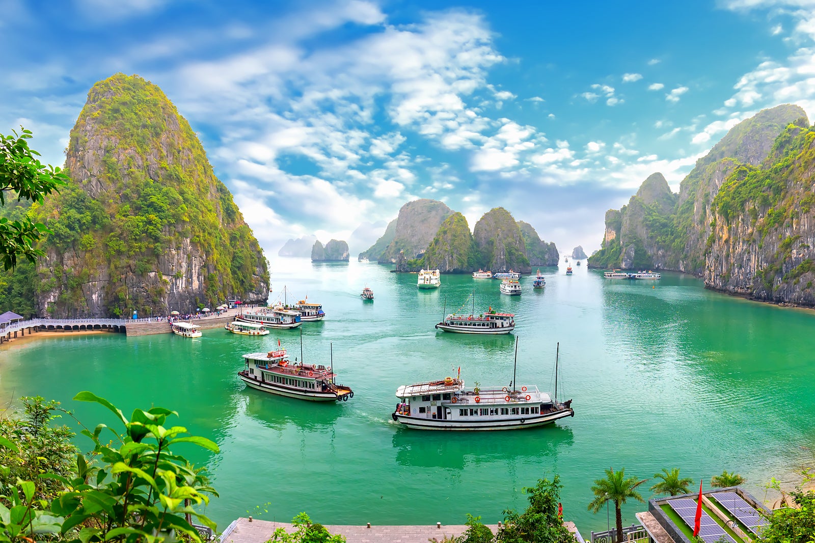 Official Website of Halong Bay Cruises - Best Price Guarantee