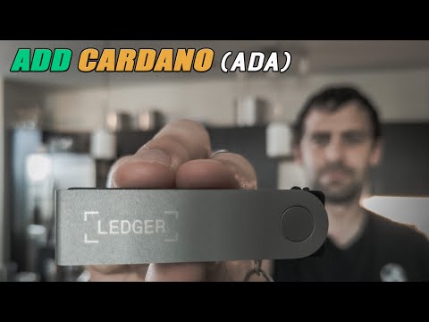 Nano X Ada account on Daedalus and Ledger live - Community Technical Support - Cardano Forum