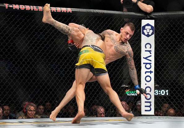 Best Crypto UFC Betting Sites for 