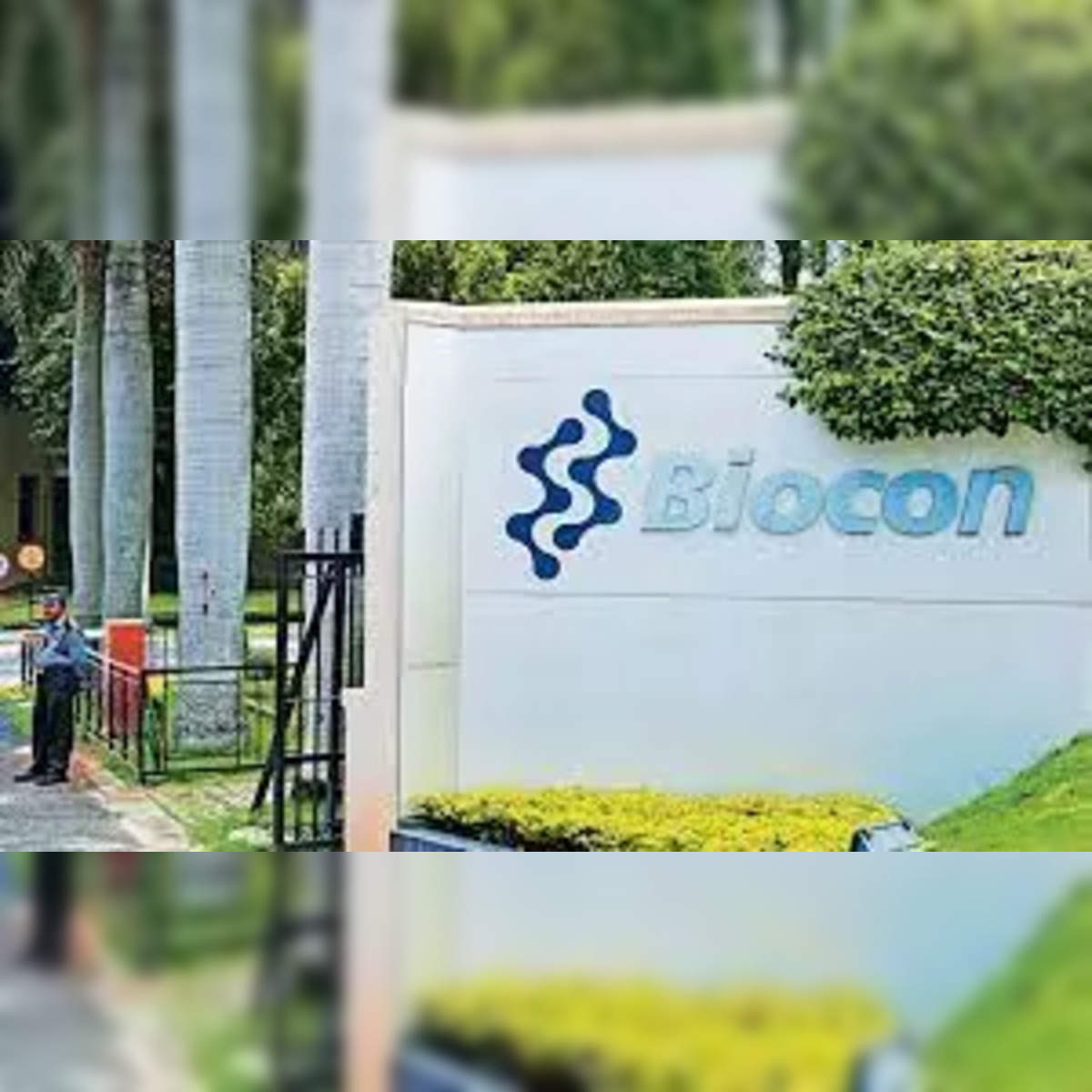 Biocon Share Price Today (08 Mar, ) - Biocon Share Price Live NSE/BSE