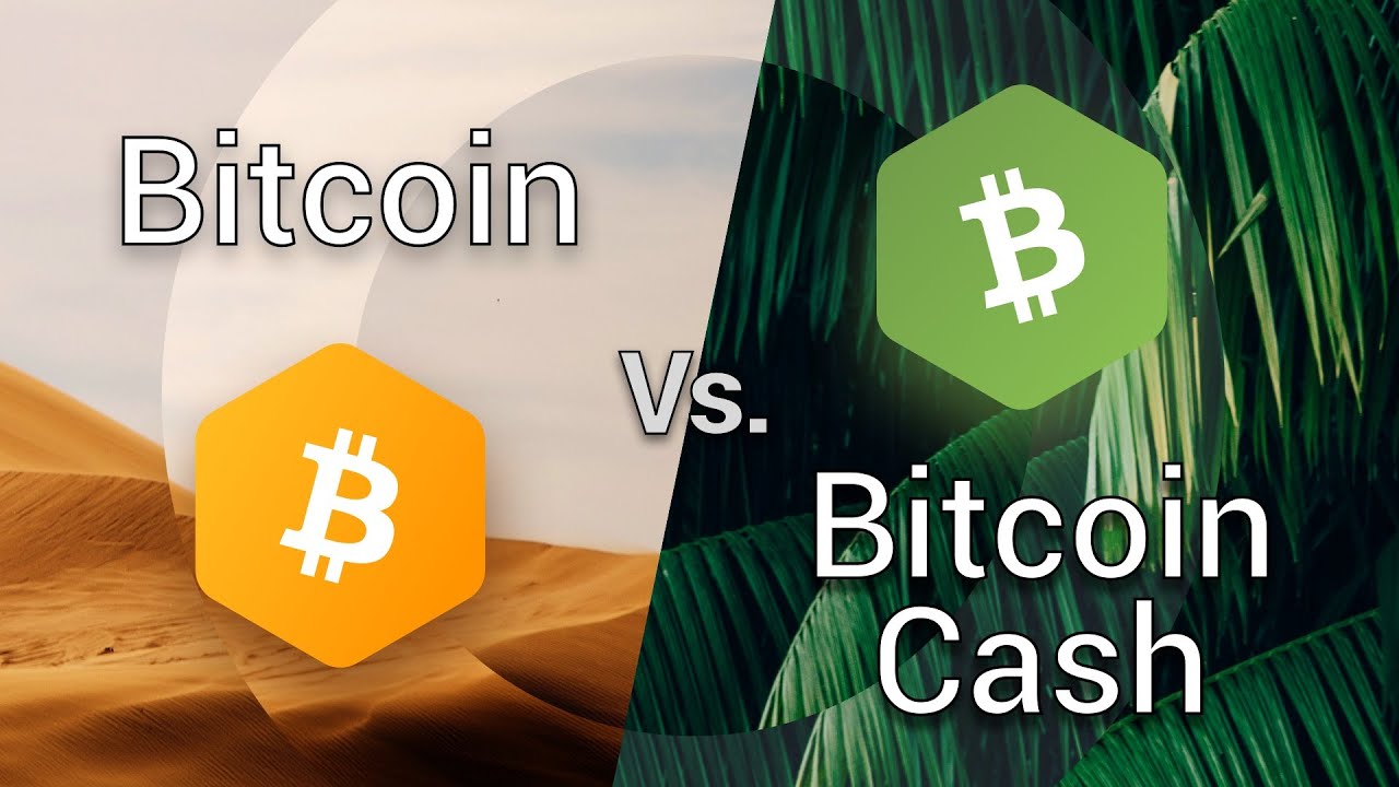 What is Bitcoin Cash (BCH)? | Coinhouse