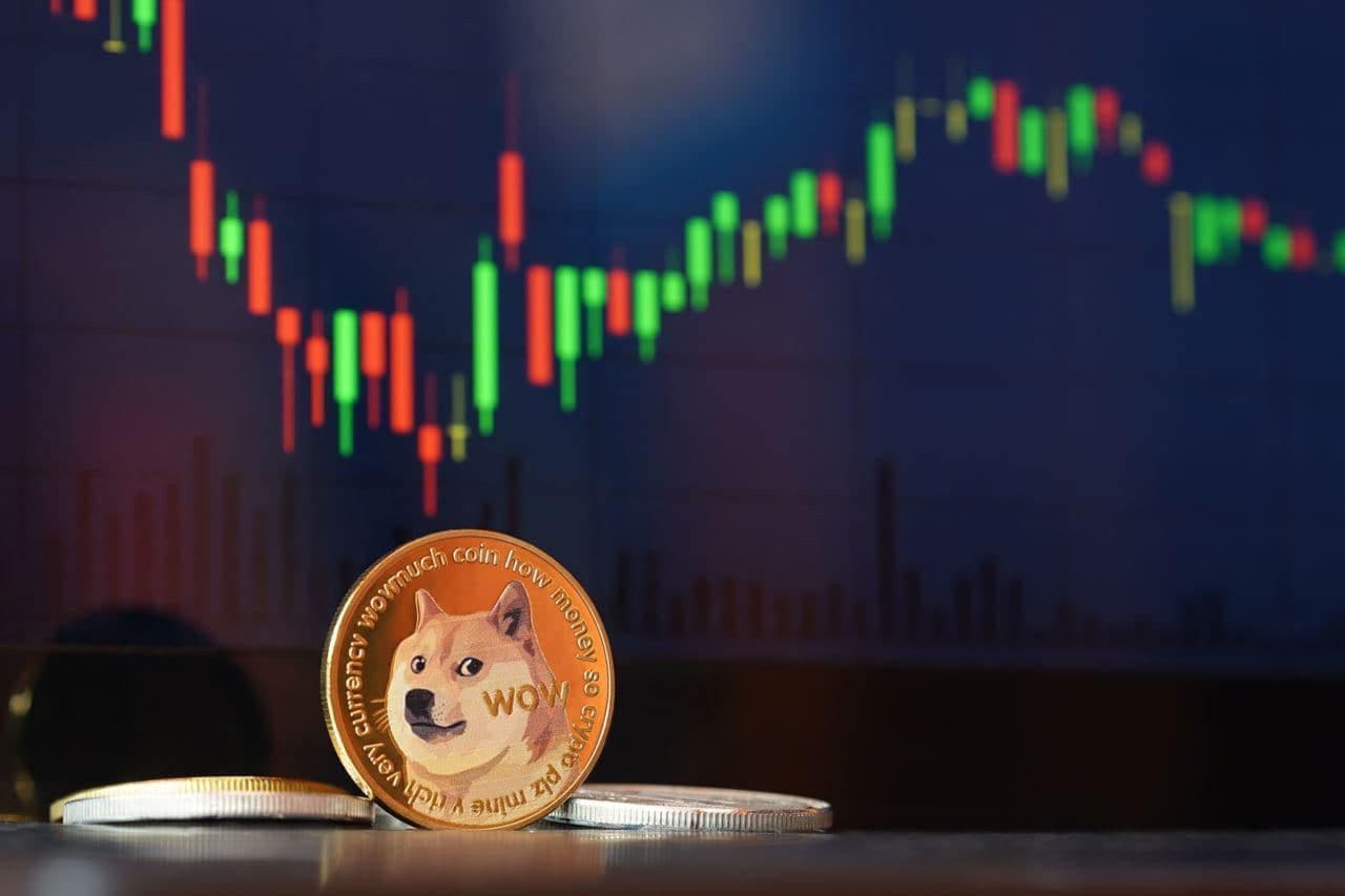 Dogecoin profits decline: Analyzing trends and trader sentiments - AMBCrypto