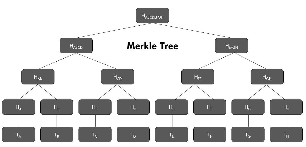 Merkle Trees & Merkle Roots: Bitcoin & Blockchain | Gemini