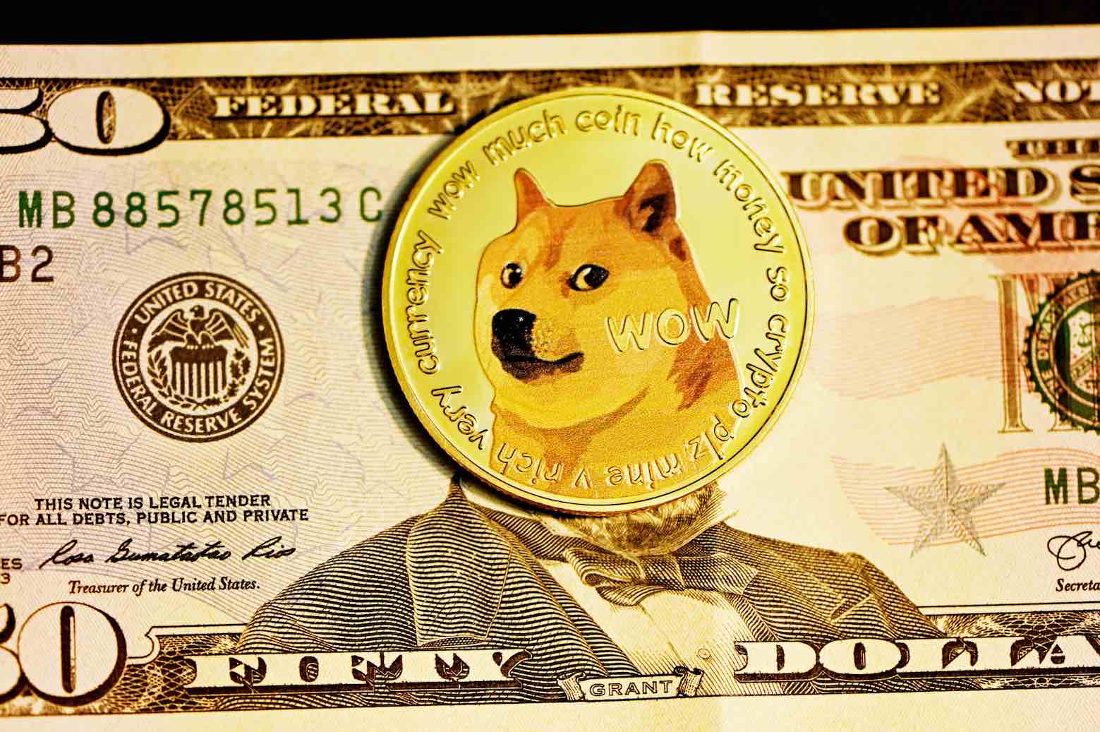 DOGE to USD | Convert DogeCoin to US Dollars | Revolut United Kingdom