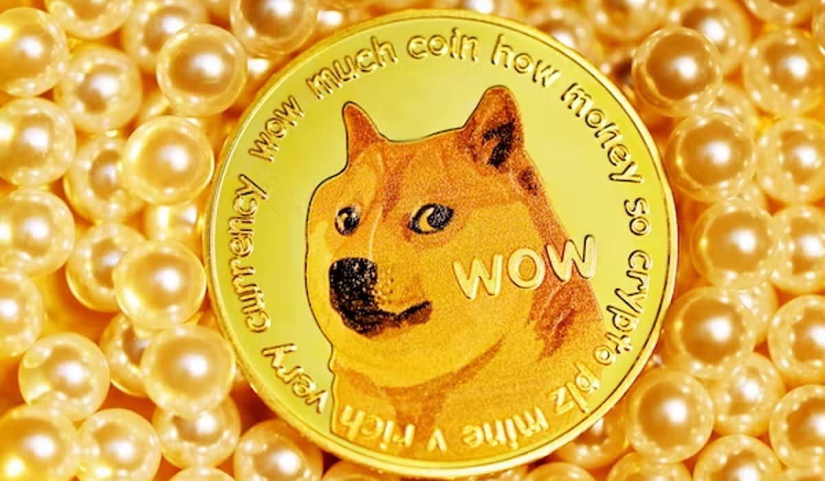 Dogecoin, Buff Doge Coin Transactions Chart