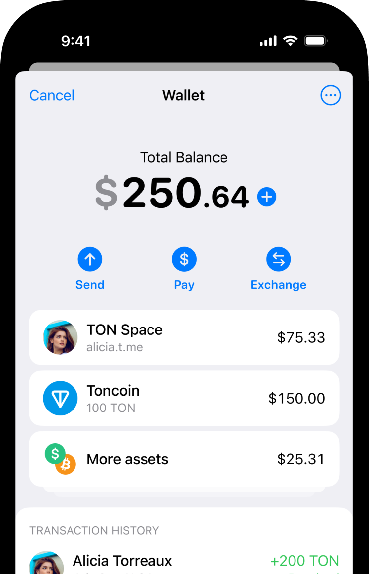 Cryptocurrency Toncoin of the TON blockchain