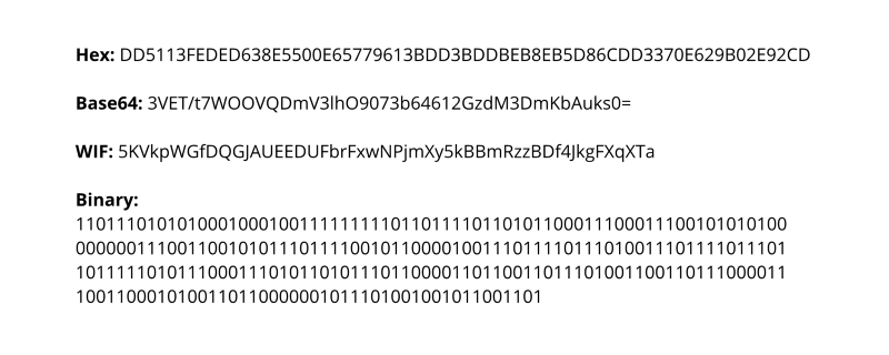 What is Wallet Import Format (WIF)?