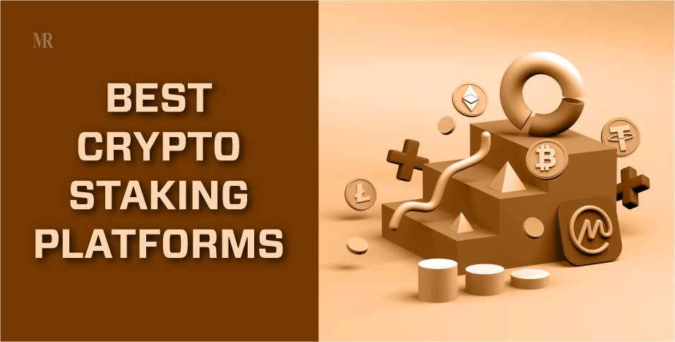 Best DeFi Staking Platforms for Startups - A Novice Guide