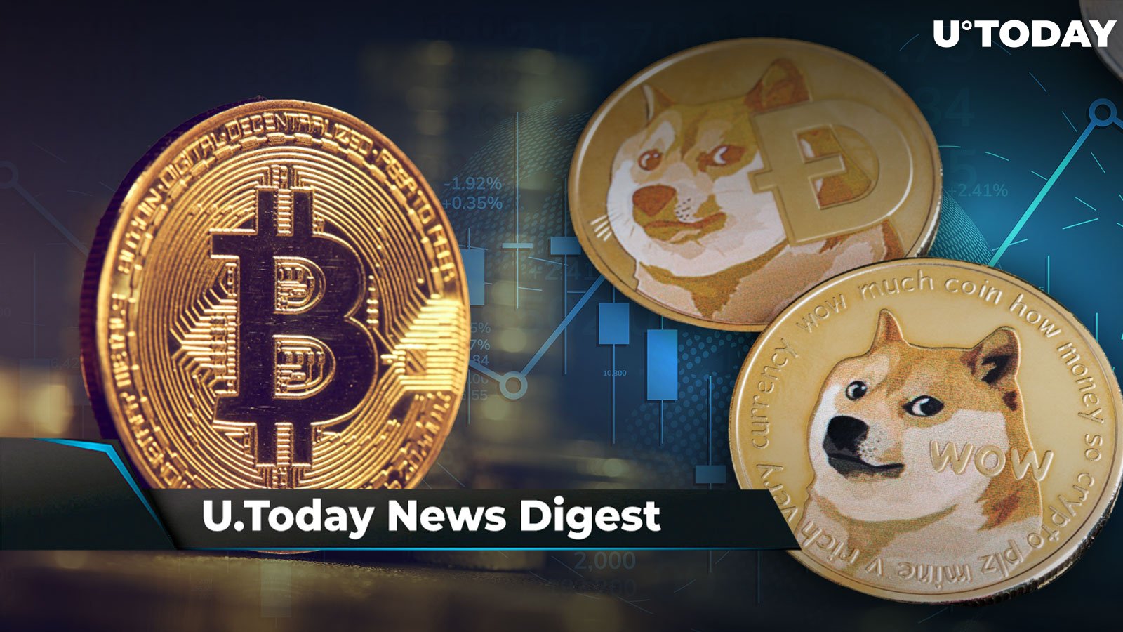 Exchange Dogecoin (DOGE) to Bitcoin (BTC)  where is the best exchange rate?