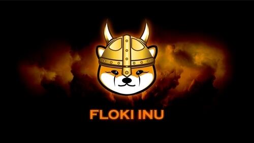 Floki Inu Price Today - FLOKI Price Chart & Market Cap | CoinCodex