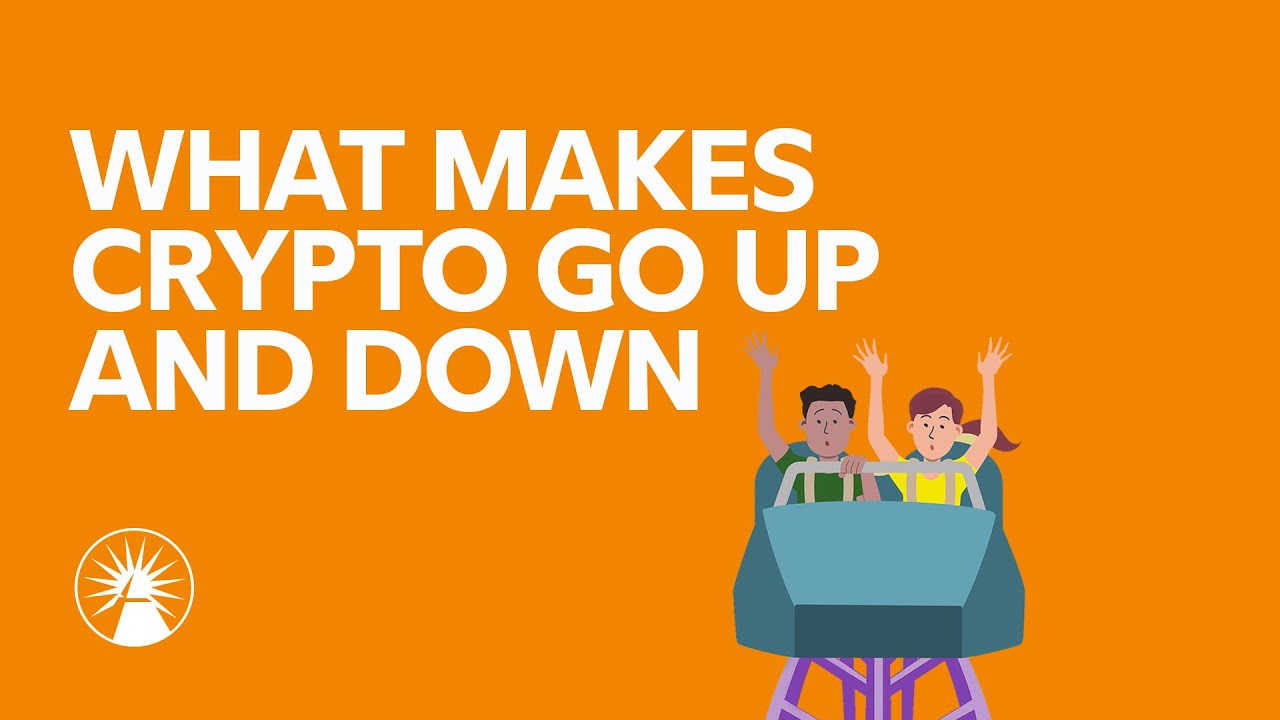 What Drives Bitcoin's Price Up or Crashing Down?