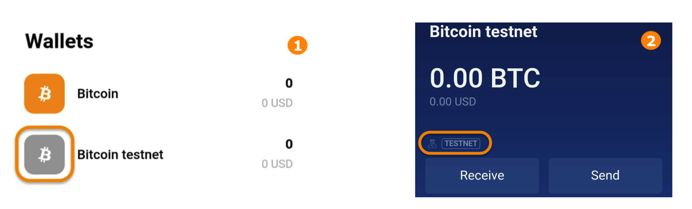 How To Setup A Custom Bitcoin Testnet? An easy guide| Ulam Labs