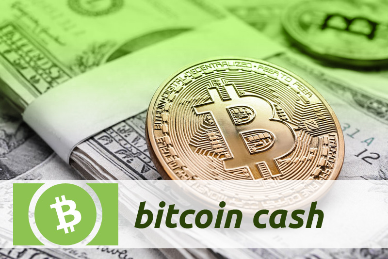 Bitcoin Cash (BCH): What is it and How it Works