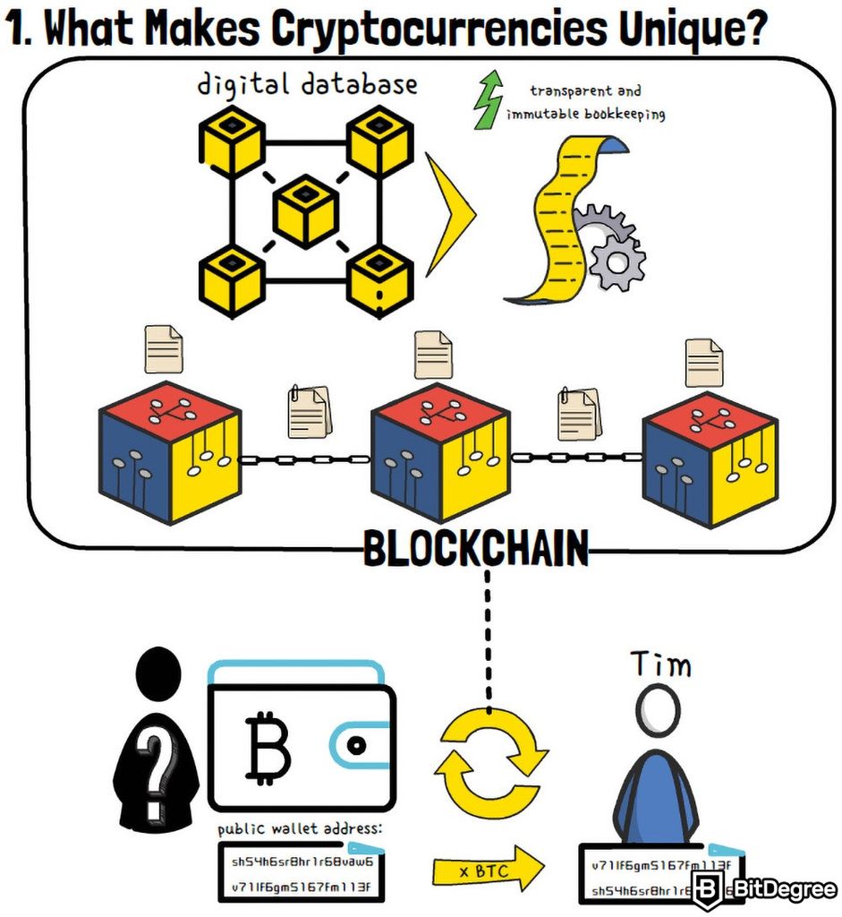 Guide | How Do Cryptocurrencies Work?