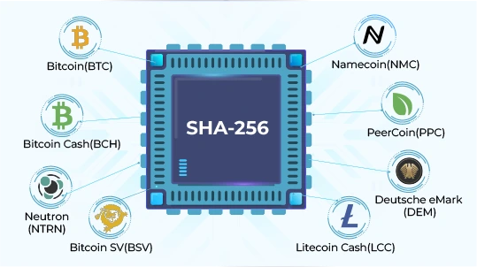 SHAd Top Cryptocurrencies | ADVFN