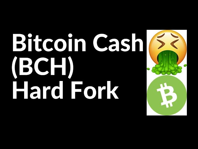 Bitcoin Cash explained: BTC hard fork for faster transactions | CoinLoan Blog