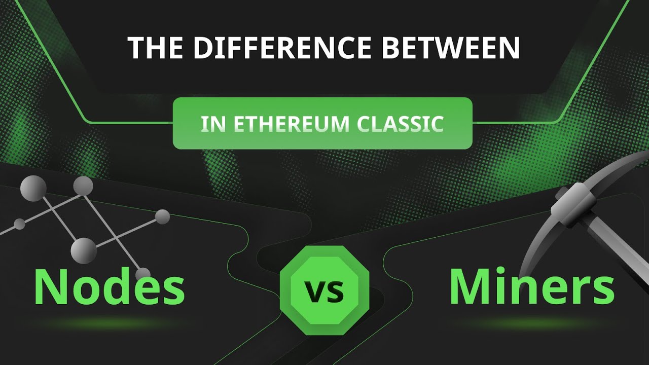 Bitcoin Nodes vs. Miners: Demystified | Braiins