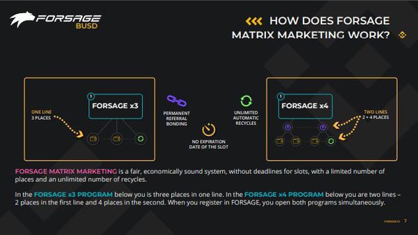 How does forsage work? How do you make money on forsage – My Scholarship Baze