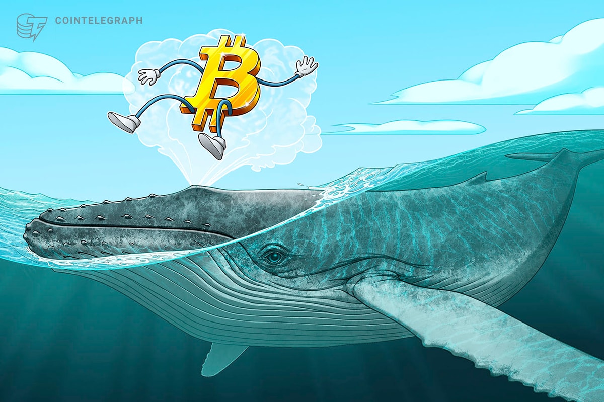 No, A Whale Didn’t Cause Bitcoin To Crash Overnight | bymobile.ru