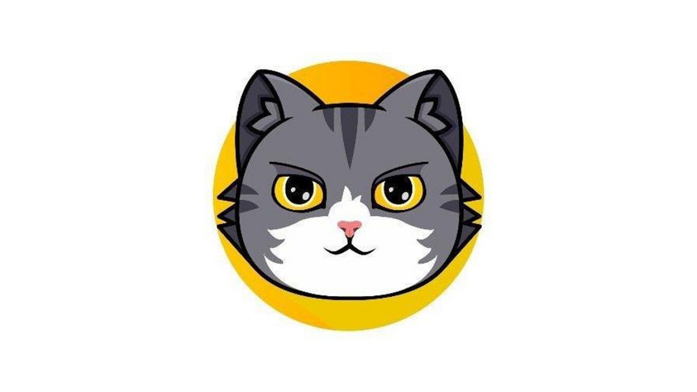 Catcoin - World's Best Community Driven Coin