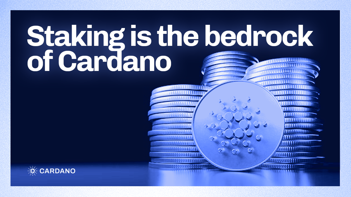 Cardano Staking: How Does It Work? - bymobile.ru