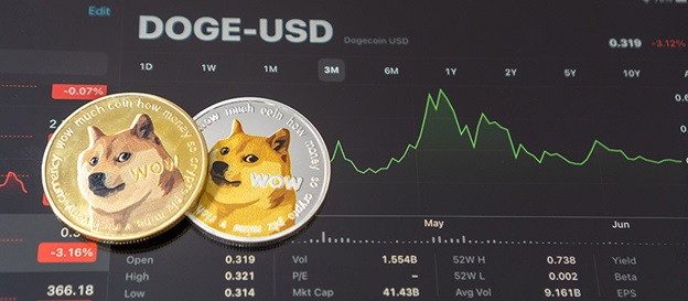 Convert 1 DOGE to USD - Dogecoin price in USD | CoinCodex