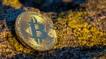 Premarket stocks: Crypto fans got what they wanted. So why is bitcoin falling? | CNN Business