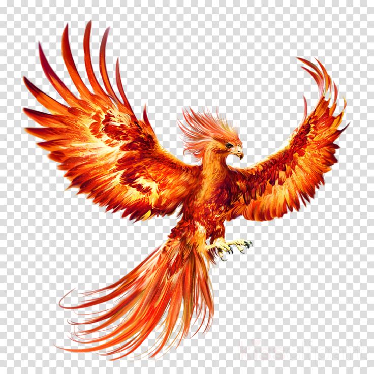 Phoenix Token price today, PHX to USD live price, marketcap and chart | CoinMarketCap