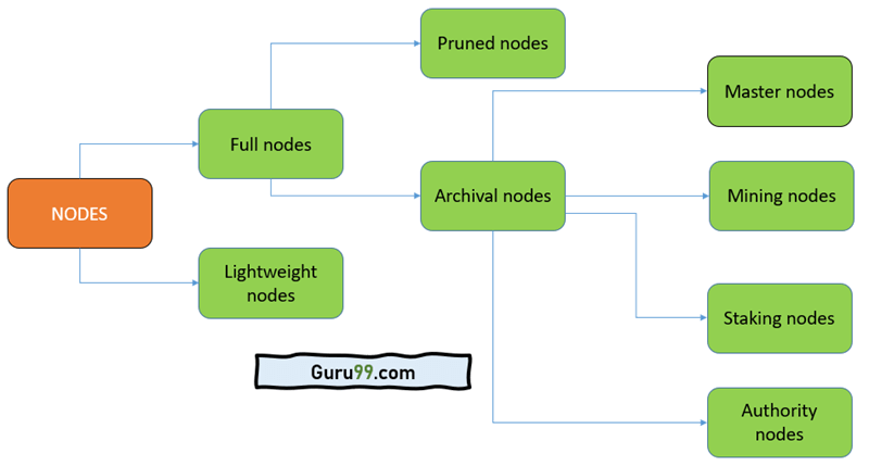 The difference between a Bitcoin node and a miner