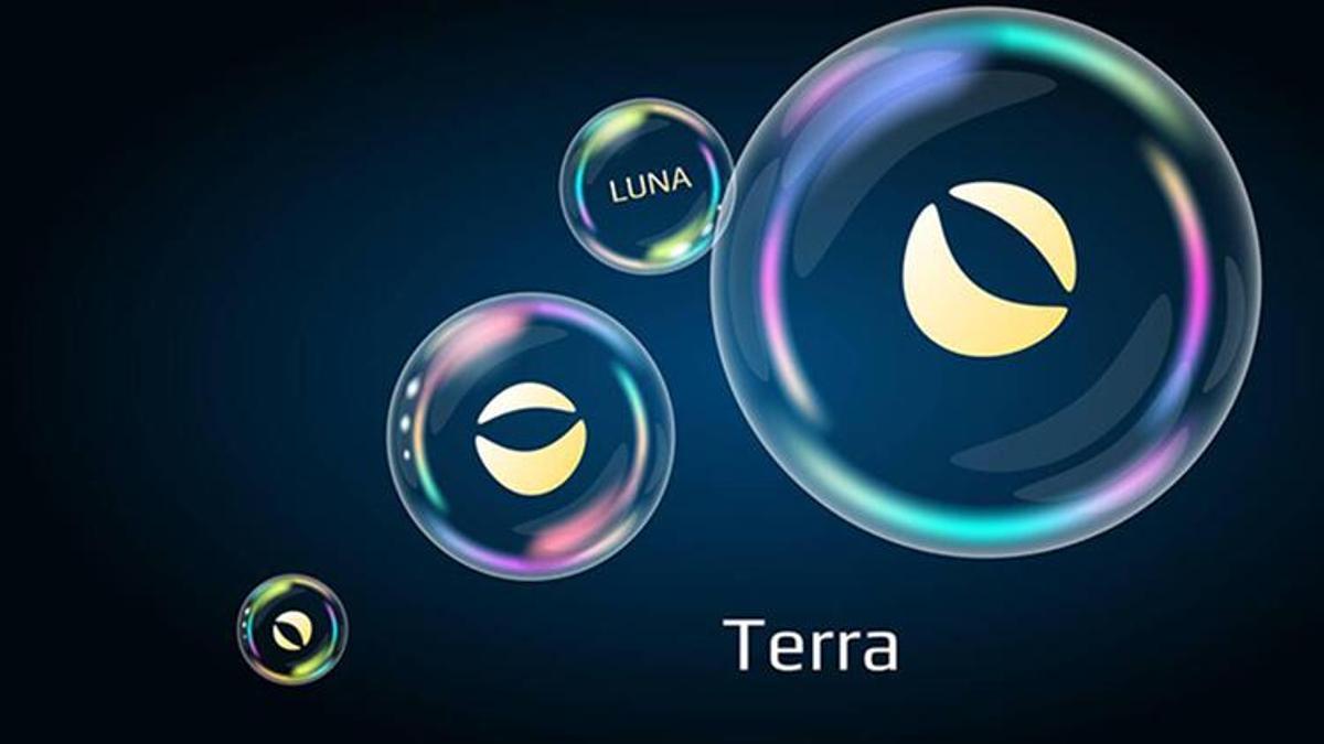 Contact Terra Station Customer Service for Support