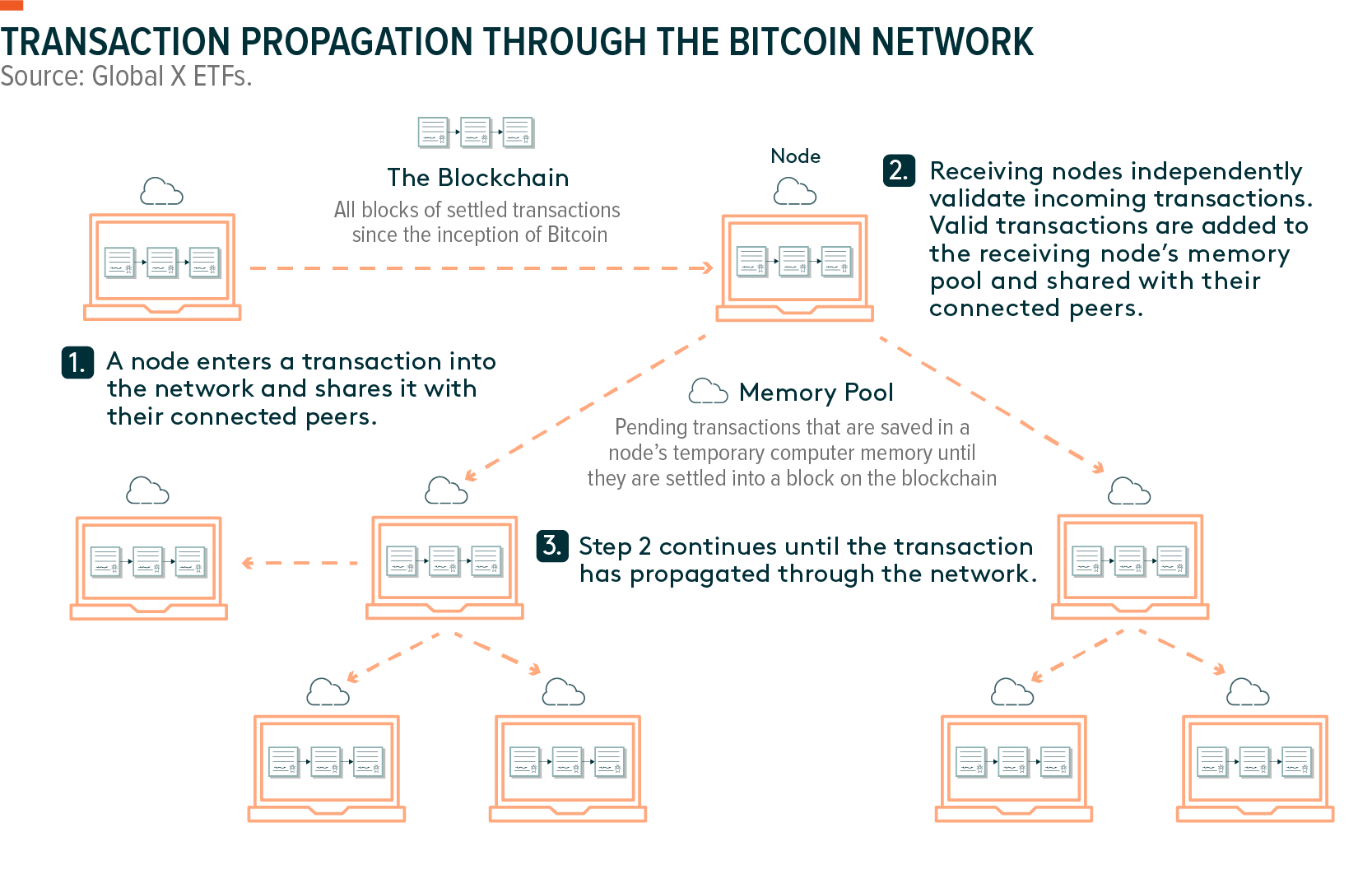 Crypto Nodes: What Are They And How Do They Work? | Ledger