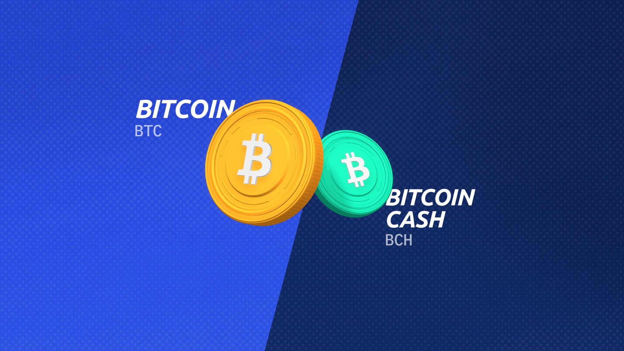 Bitcoin Cash | Is it worth it?