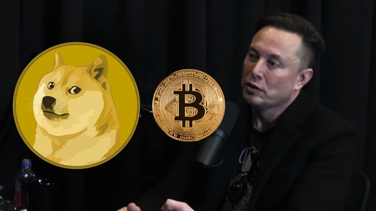 Elon Musk’s X meme post on ‘Dog’ triggers speculation among crypto DOGE community - The Statesman