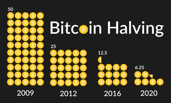 Bitcoin Cash treading a rocky path following first halving e