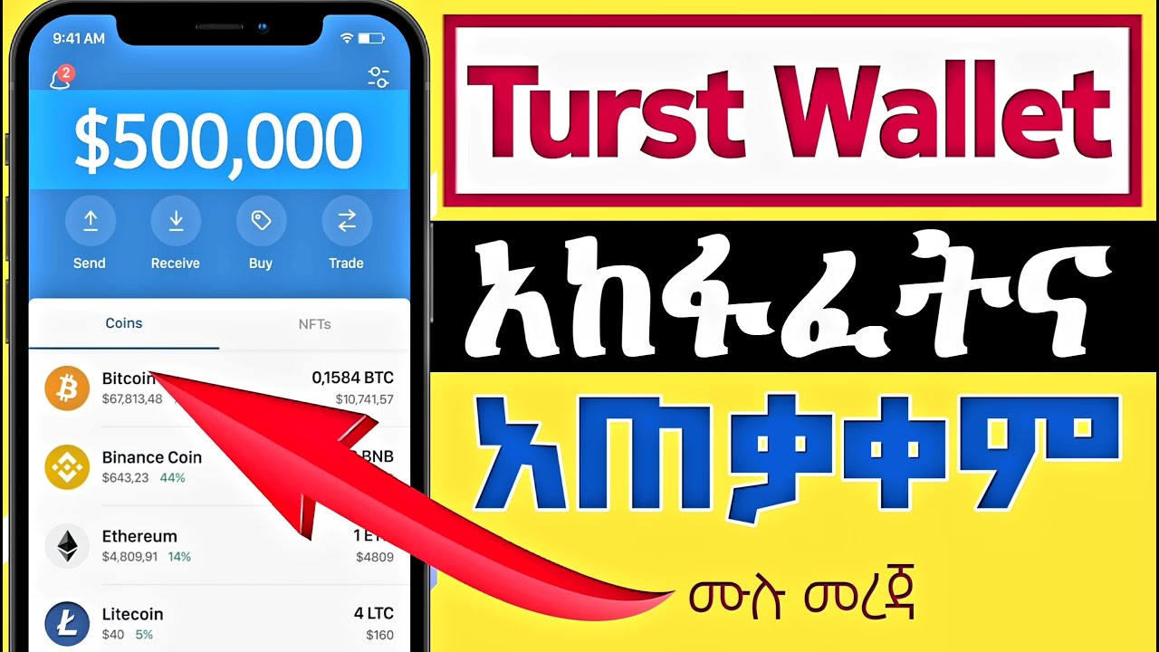 Best Crypto Wallet Ethiopia 