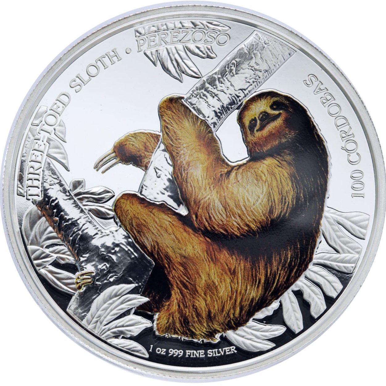 Slothcoin Price Today - SLOTH to US dollar Live - Crypto | Coinranking