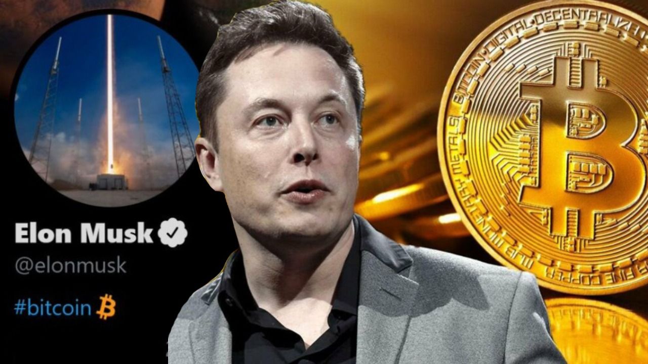 Elon Musk’s Power Over Crypto, Explained