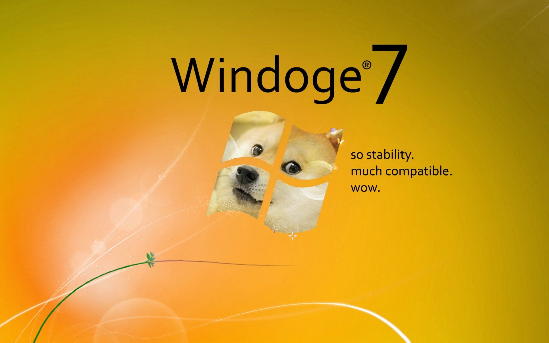 Doge Wallpaper Free Download