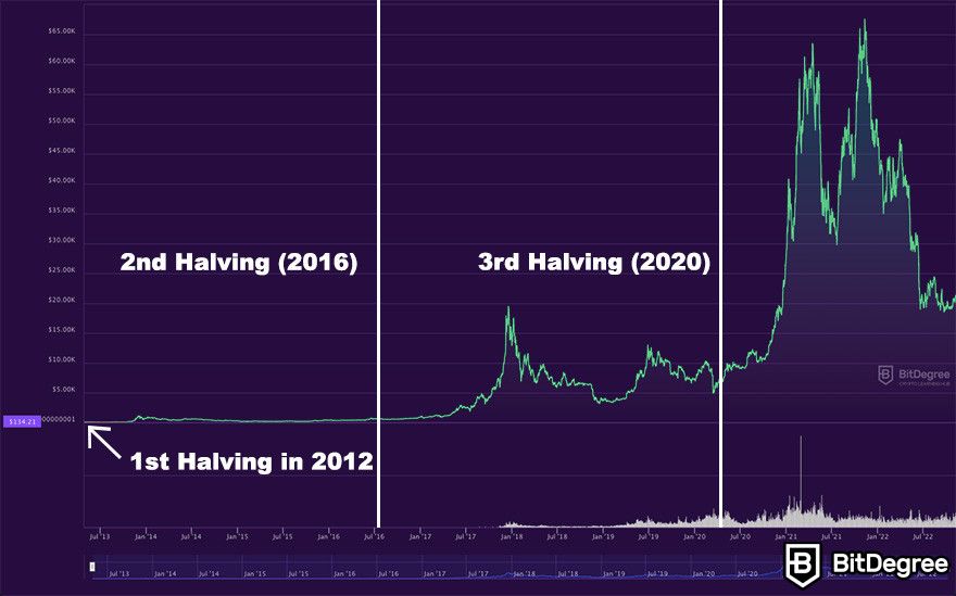 Bitcoin Halving All you need to know | Plus