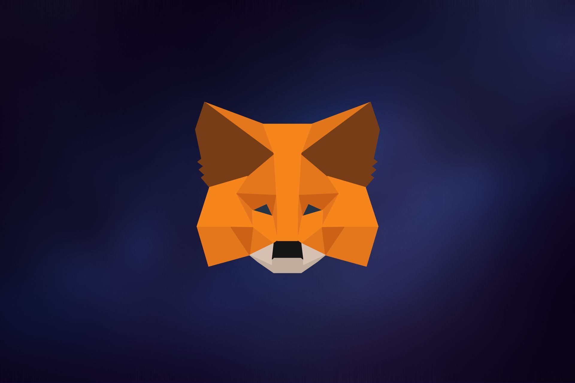 The Complete Guide to Add Bitcoin to MetaMask Wallet ()