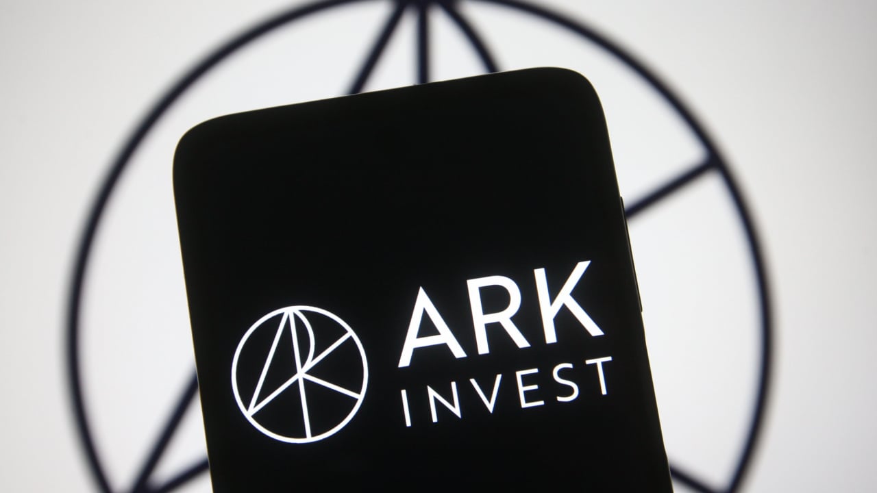 Cathie Wood’s Ark pares holdings of top pick bitcoin trust - The Economic Times