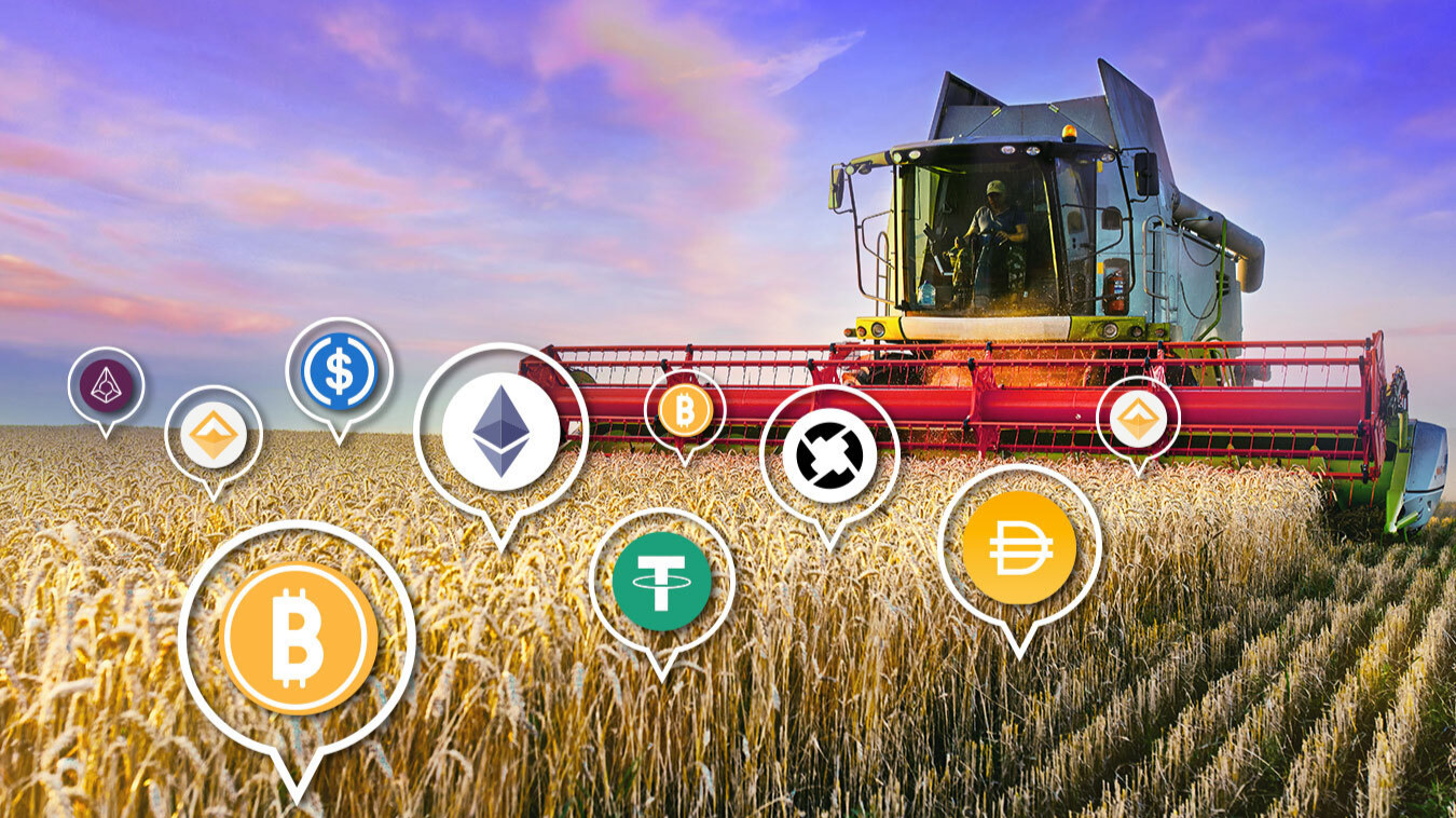 DeFi 'points' farming has reshaped the crypto investment landscape - Blockworks